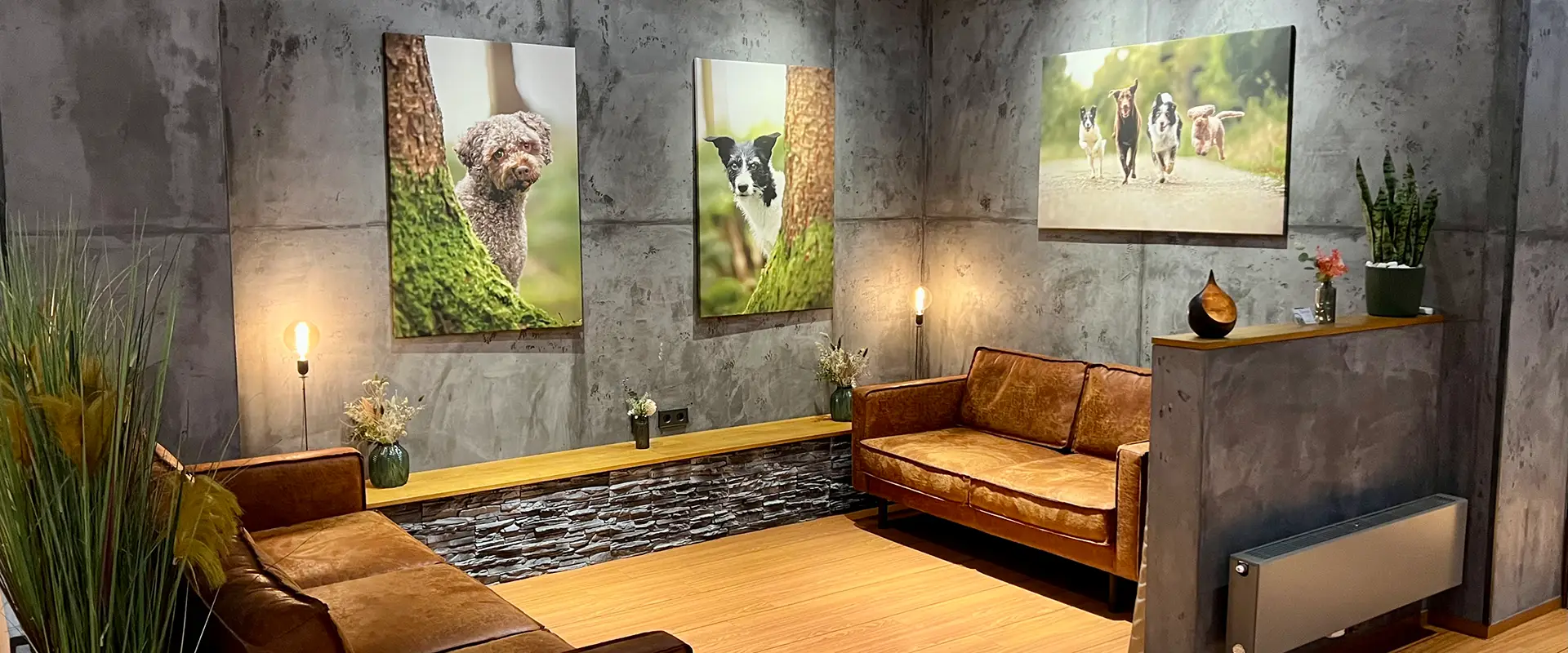 Stellenangebot Tiermedizinische Fachangestellte (m/w/d) Kleintierpraxis Bernick Ulm / Neu-Ulm